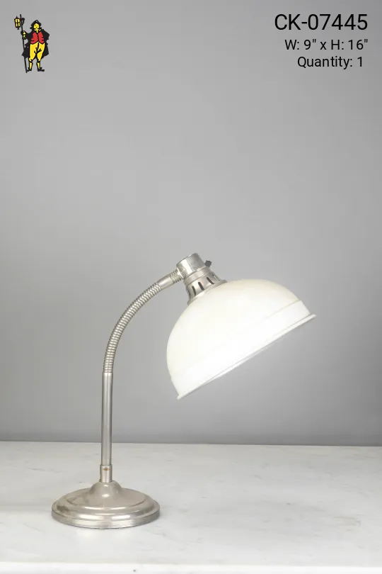 Goosneck Adjustable Desk Lamp