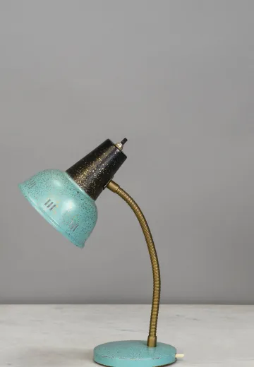 Aqua Gooseneck Desk Lamp