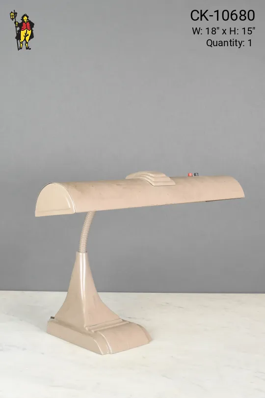 Adjutable Gooseneck Fluorescent Desk Lamp