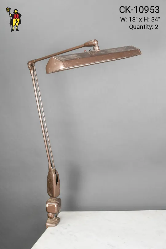 Adjustable Large Fluorescent Clamp Desk Lamp