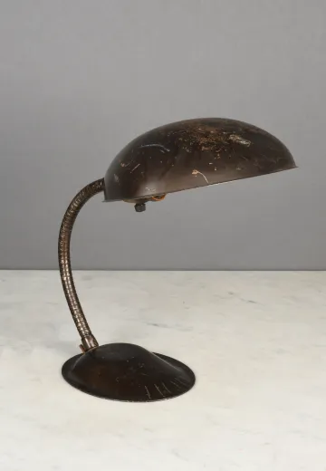 Metal Shaded Gooseneck Desk Lamp