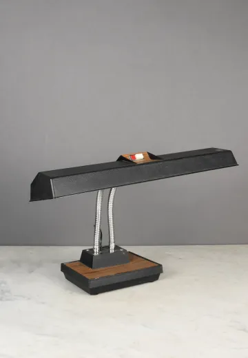 Gooseneck Fluorescent Desk Lamp