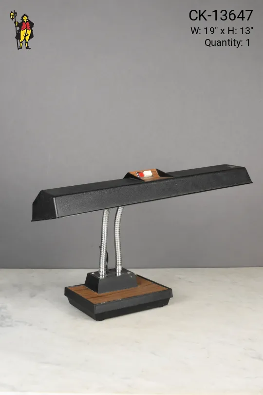 Gooseneck Fluorescent Desk Lamp