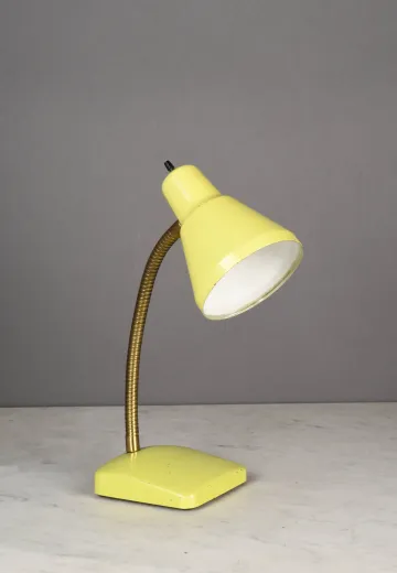 Gooseneck Task Lamp
