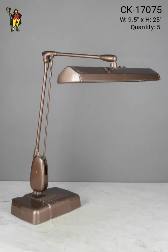 Large Fluorescent Desk Lamp