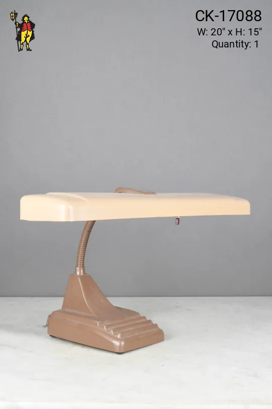 Metal Shaded Gooseneck Desk Lamp