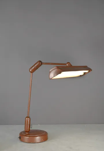 Metal Shaded Adjustable Oversize Desk Lamp