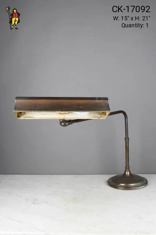 Bronze Long Neck Desk Lamp w/Metal Shade