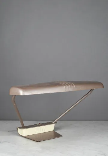 Fluorescent Metal Shaded Desk Lamp