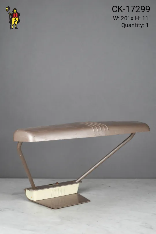 Fluorescent Metal Shaded Desk Lamp