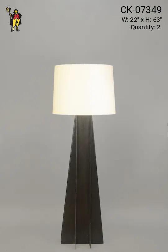 Contemporary Black Floor Lamp