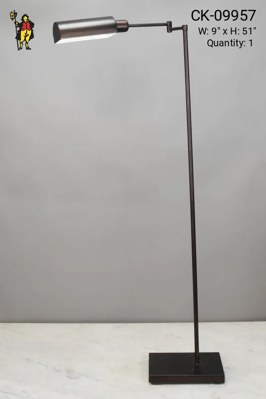 Bronze Swing Arm Floor Lamp