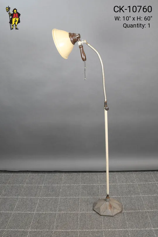 Industrial Gooseneck Floor Lamp w/Detachable Spotlight