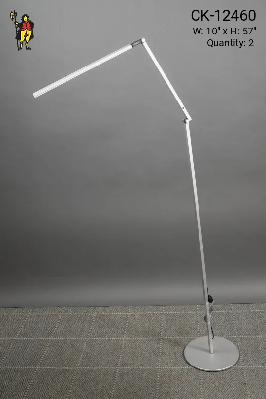 Modern Adjustable LED Floor Lamp