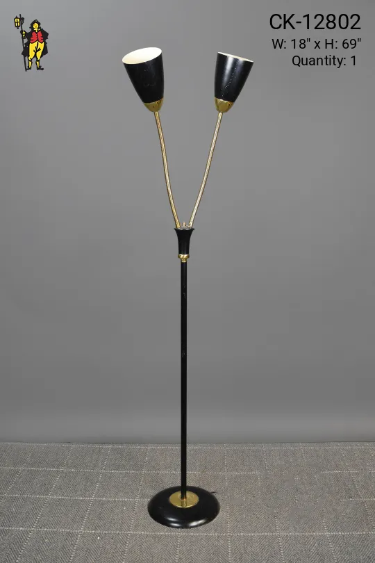 Mid Century Adjustable Directional Black & Brass Floor Lamp