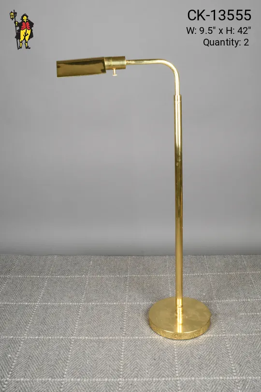 Polished Brass Reading Floor Lamp