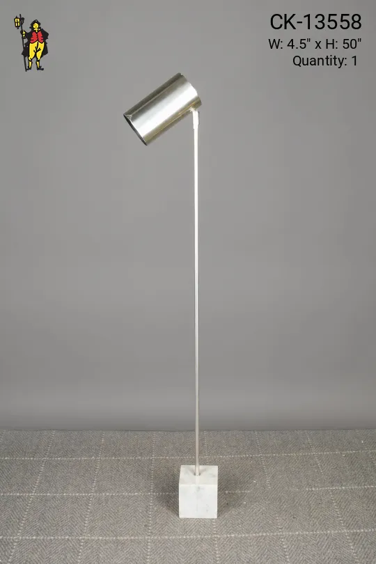 Polished Chrome Directional Floor Lamp