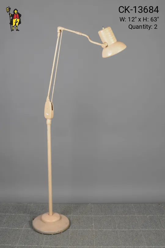 Industrial Adjustable Floor Lamp