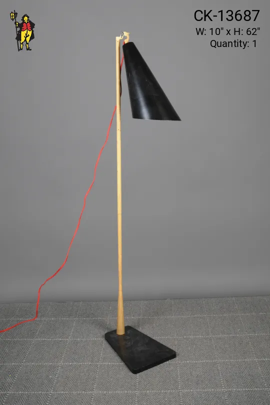 Black Single Light Directional Floor Lamp