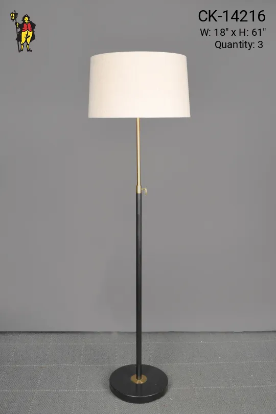 Black & Brass Adjustable Floor Lamp