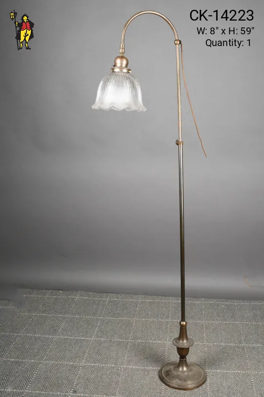 Bronze Single Down Light Floor Lamp