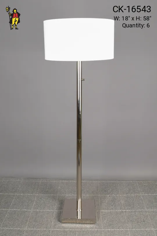 Polished Nickel Modern Floor Lamp