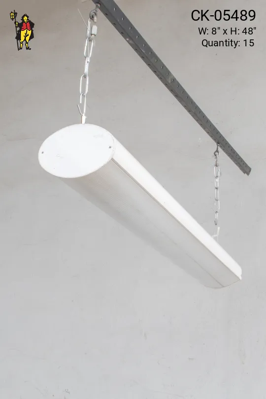 4' Contemporary Two Bulb w/Prismatic  Lens