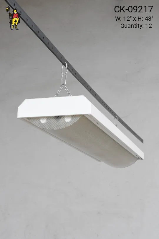 4' Curved Prismatic Lens Fluorescent Fixture (Available as Hanging or Flush Mount)