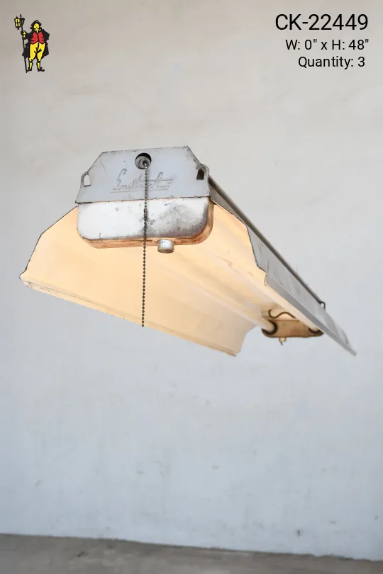 4' Gray & White Metal Winged Shop Fluorescent