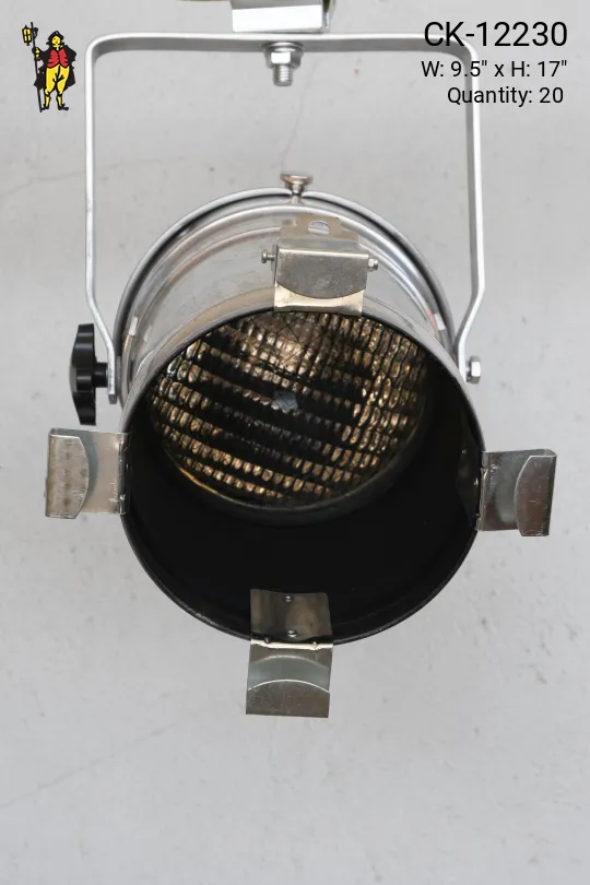 Polished Nickel Theatrical Light