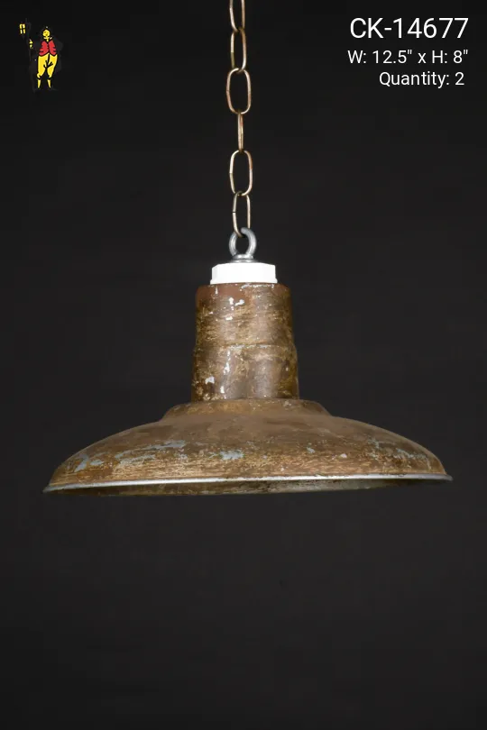 12.5" Distressed Metal Hanging RLM