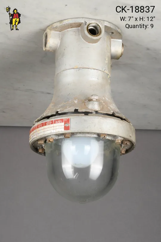 Industrial Explosion Proof Flush Mount Fixture