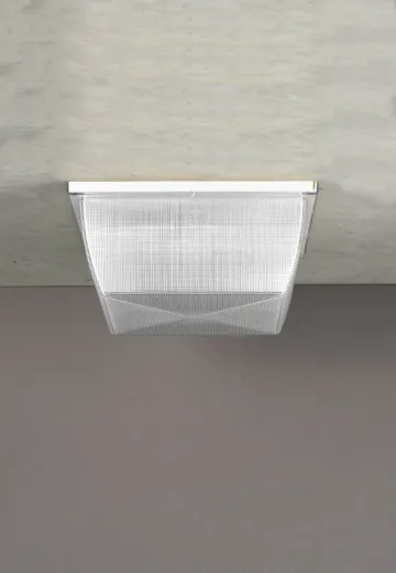 Prismatic Plastic Box Flush Mount Fixture