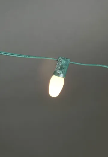 25' C7 Green Stand White Bulb String Lights
