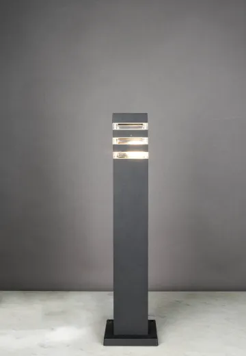 Black Modern Landscape Light