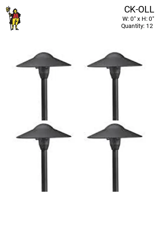 Low Voltage Black Landscape Lights