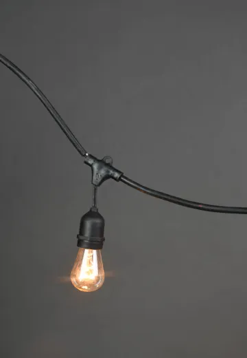 50' Black Strand Carnival Lights w/Clear Bulbs