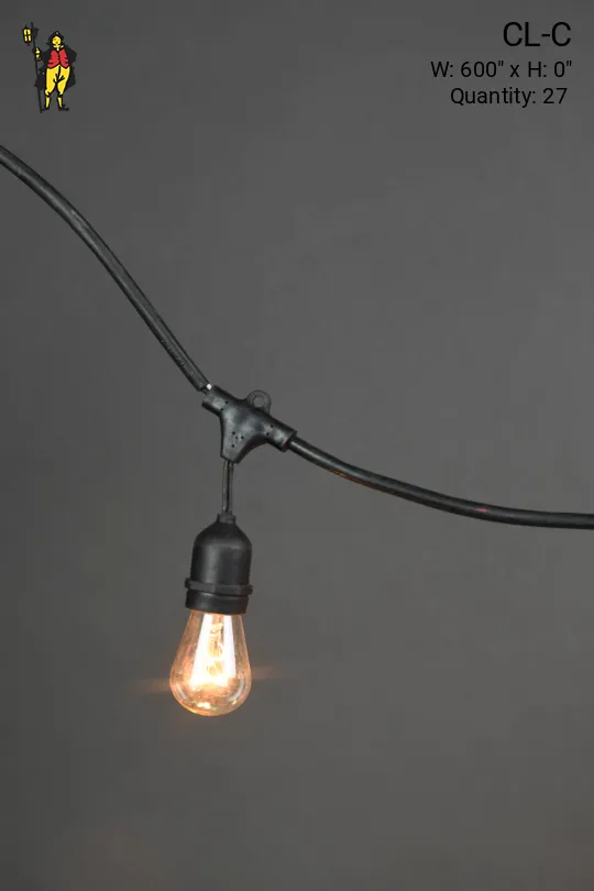50' Black Strand Carnival Lights w/Clear Bulbs