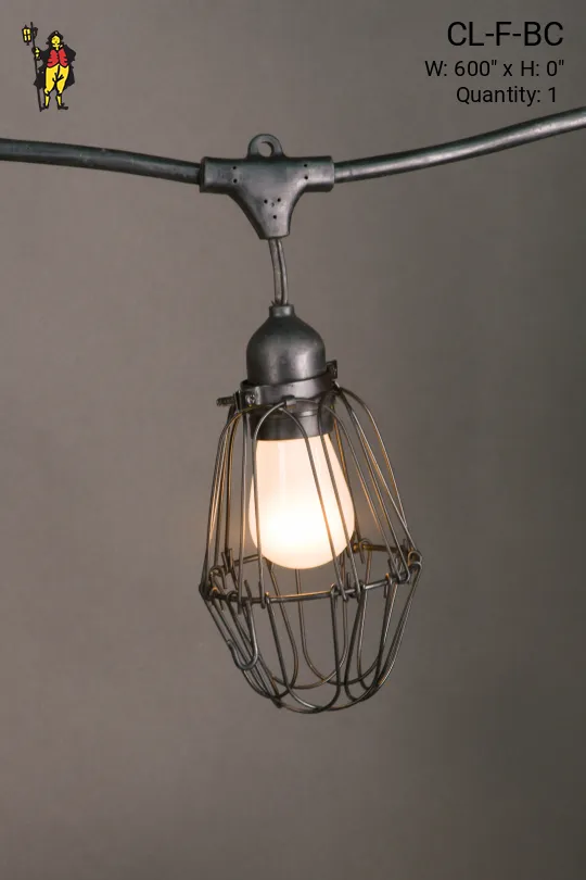 50' Black Carnival Light w/Black Metal Cages & Frosted Bulb