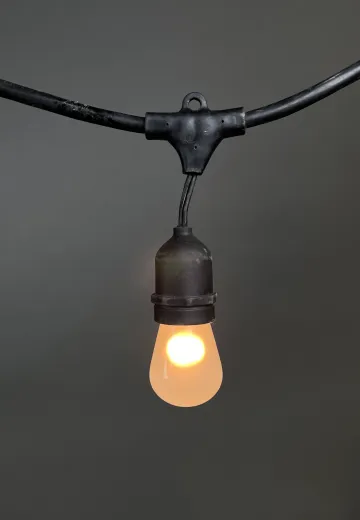 50' Black Strand Carnival Lights w/Frosted Bulbs