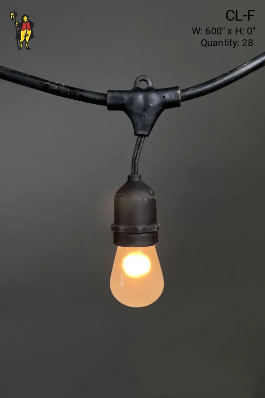 50' Black Strand Carnival Lights w/Frosted Bulbs