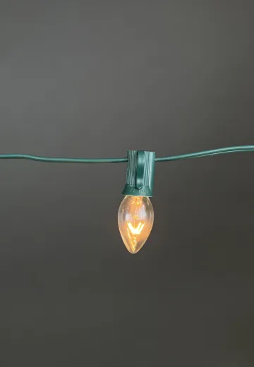 25' Green Stand Clear Bulb String Lights