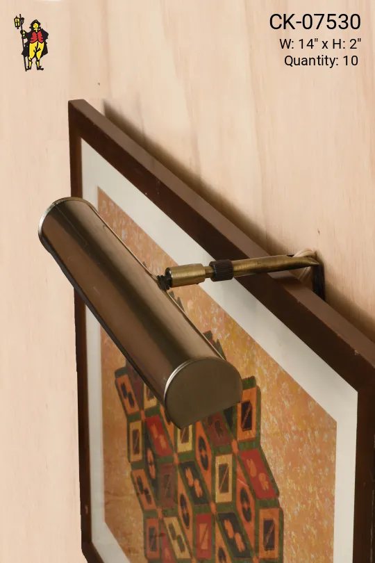 Adjustable 14" Brass Picture Light
