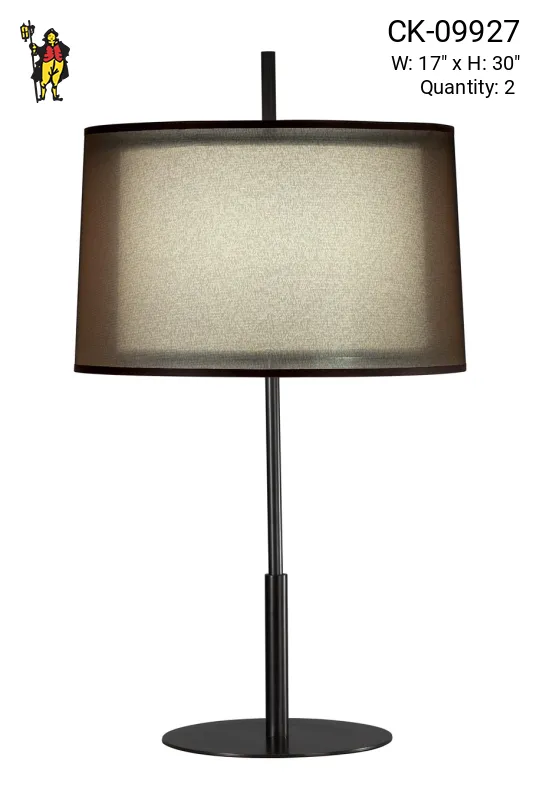 Contemporary Bronze Table Lamp (Edison)