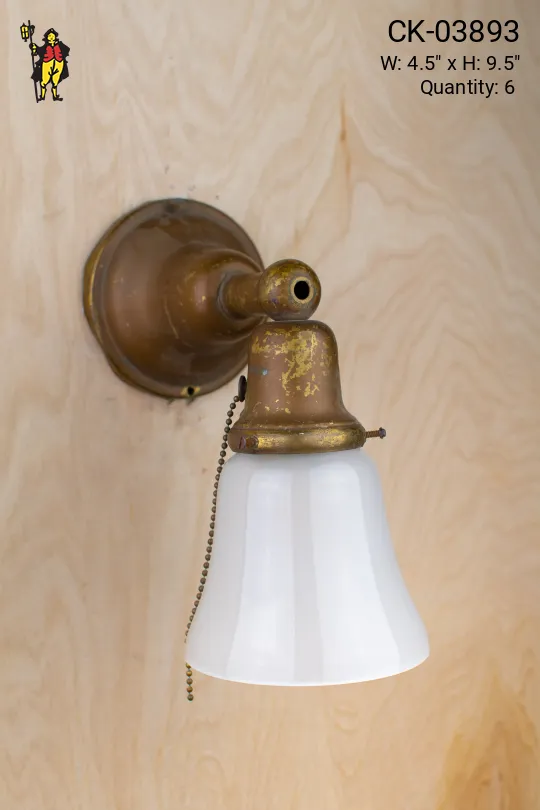 Straight Arm Wall Sconce w/Frosted Glass Shade & Pull Chain