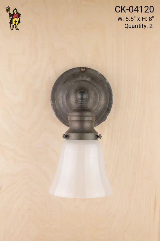 Brass One Light Wall Sconce w/Frosted Glass Shade