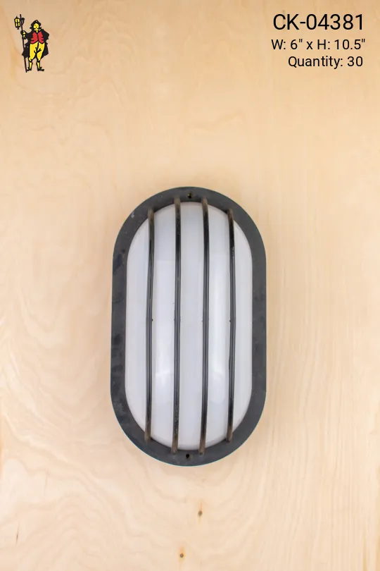 Black Plastic Cage Wall Sconce