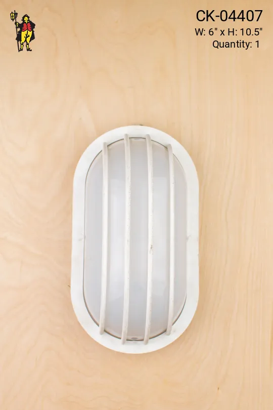 White Plastic Cage Sconce (Distressed)