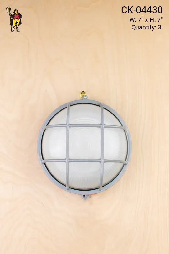 Seven Inch Silver Circular Cage Light