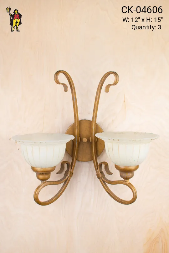 Two Light Wall Sconce w/Glass Shades